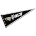 WinCraft Towson University Pennant Full Size Felt
