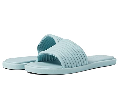 Splendid Petunia Aqua 10 B (M) pour vos Randonnées Aquatiques et Plages de Galets