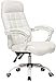 GAOLILI Sedia da Ufficio Sedia da Gioco Executive Recline Sedia da Ufficio Imbottita aggiuntiva Sedia per Computer 160 ° Sedia Lounge Sedia Plaid Design (Color : Milky White)