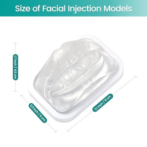 Image of Transparent Facial Injection Lip Model,for Filler Practice | Micro Plastic Surgery Teaching, Beautician Teaching, Injection Training for Medical Students Doctors
