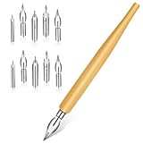 11 Pieces Stainless Steel Comic Pens Nib Set Drawing Comic Pens Nib Ink Pen Nibs Fountain Pen Nibs Drawing Calligraphy Dip with Wooden Holder for Writing Signing Painting Present