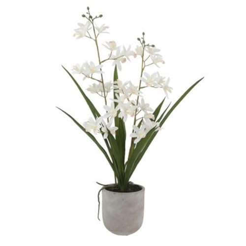 Image of CG Hunter Faux Vanda Orchid Plant, Premium Artificial Indoor Flower Display Stands 20.5 inch, Beautiful Sculptural Blooms that Lasts Forever, White Planter Pot Included