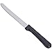 Update International Plastic Handle Steak Knife, 8.75 inch - 12 per case.