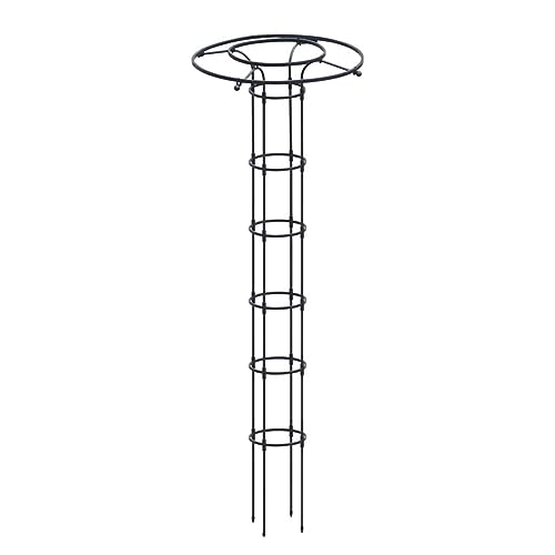 Ax |x 鐫A R\ ȒPg ϗtx Ux t[x o KN  ƒ؉  y ϋv g₷ |pi K[fjOpx (210CM)