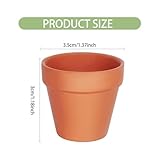 Zoom IMG-1 hdkajl 20 pezzi terracotta pot Zoom IMG-1 hdkajl 20 pezzi terracotta pot