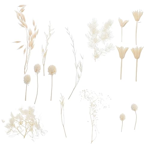 Kit de Flores Secas Prensadas para Manualidades miniatura 1