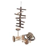 BESPORTBLE 6pcs Hamster Guinea Pig Chewable Toys Mice Climbing Ladder Puzzle Toys for Small Pets Dental Care Accessory