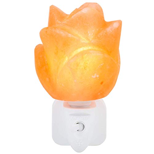 Klass Home Natural Himalayan Rock Salt Lamp | Crystal Mini Salt Lamp...