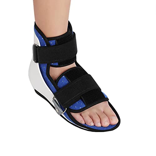 񑕋T|[gpu[XXvgnre[Vp̒܂̃T|[g (傫,Right)