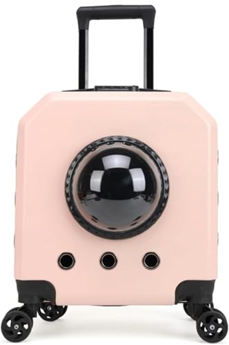 DanussiybgL[ ^ELp spL[obO yʁEʋC ϋv LpL[obO ~ɋ 9kg܂ t LX^[ t ybgpL[P[X U ԍ s ʉ@ hЗp (sN)