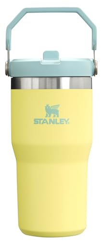 Stanley IceFlow Flip Straw Tumbler with Handle 20 oz | Twist On Lid and Flip Up Straw | Leak Resistant Water Bottle | Insulated Stainless Steel |BPA-Free | Pomelo