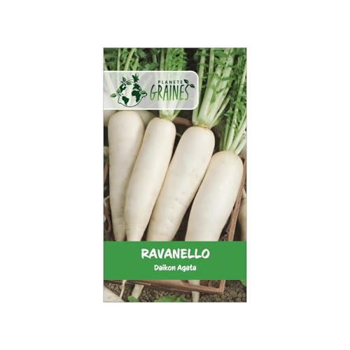 600 Sementi di Ravanello Daikon Minowase - Radice Bianca Gigante per l'Orto. Raccolta Veloce. Coltivazione Facile.