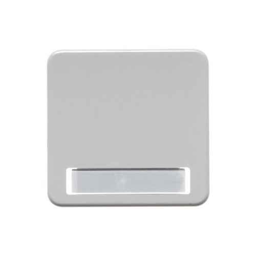 Berker Wippe pws/gl 162909