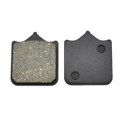 Plaquettes de frein avant de moto pour Triumph Speed Triple 1050 de 2009 à 2015