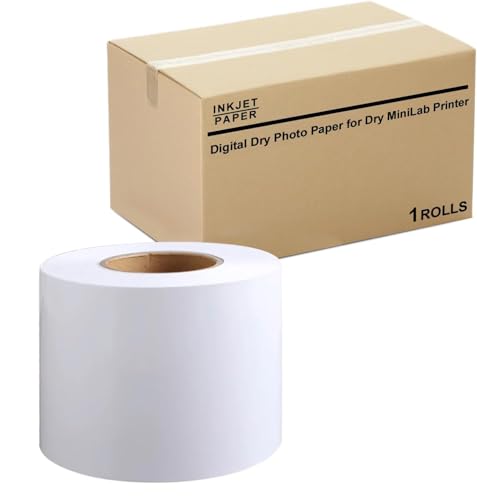 Papier brillant DX100 en lot de 2 rouleaux pour éviter les pannes de tirage photo en 20,3 cm