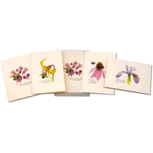 Image of Earth Sky + Water - Bumblebee Assortment Notecard Set - 8 Blank Cards with Envelopes (2 each of 4 styles)