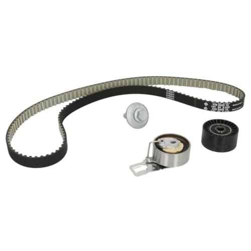 Kit Distribuzione Ina - 530069810