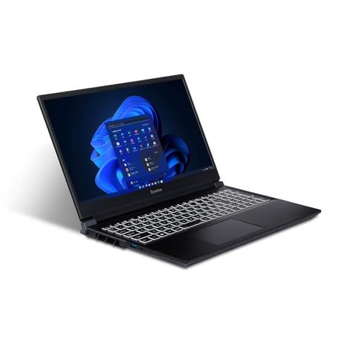 iiyama ノートパソコン LEVEL INFINITY [Core i7-14650HX/RTX 4050/16GB/500GB M.2 SSD/Windows 11 Home/15.6インチ] LEVEL-15FX156-i7-PLSXM