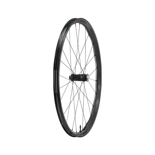 Fulcrum