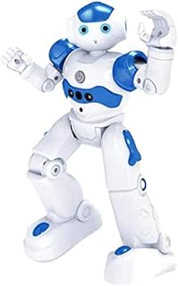 HJLXMF Walking, High-tech Artificial Intelligence Robot, Remote Control Robot, Intelligent Programmable Educational RC Robot Robot Children's Toy Children's RC Intelligent Robot Toy Gesture Sensing, D