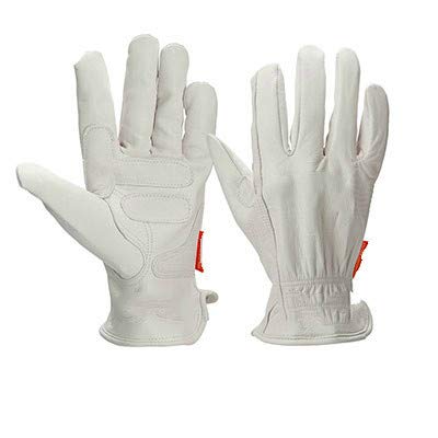 COOKOE Motorradhandschuhe Leder – Wind- & Wasserdicht, Mit Touchscreen-Fingerspitzen Für Herren