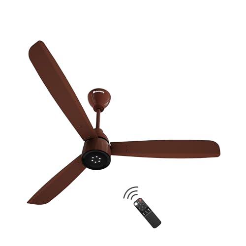 Ceiling fans