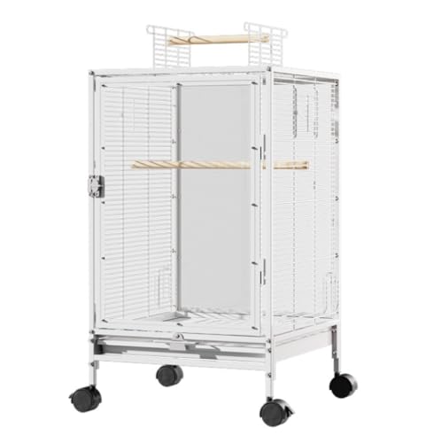  ^ P[W Q[W LX^[t ړ֗ o[hpX ~܂؂Ɖat og[ ȒP IE uo[htB`CRIJCRp (zCg,VNʓ)