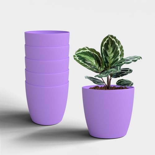 Image of YUCCABE ITALIA SHERA Stella 6 Inch Plastic Plant Pot for Home Decor Indoor Plant Pots for Living Room Plastic Flower Pot for Garden (Lavender, 6 INCH - 6 Pcs)