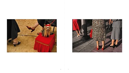 Harry Gruyaert: Homeland