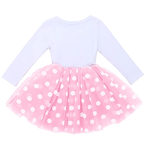 Winter Birthday Outfit Girl My First Birthday Mini Dress Up Cake Smash Outfit Baby Tulle Tutu Skirt Autumn Long Sleeve Mouse 1St Birthday Party Supplies 1 Year Old Photo Props Polka Dots Dresses Pink #TOP1