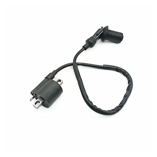 Wishful Motorcycle Accessories Ignition Coil Fit For Yamaha Ybr125 Ybr 125