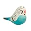 Blue Budgerigar