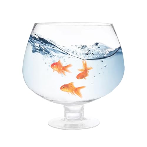 Bicchieri Da Tazza Di Birra - Bicchieri Da Bere Massicci, Piera Di Set Le Brocche Tradizionali | Cascate Di Birra Solidi Con Manico Ergonomico Bevande Fredde, Cocktail Di Birra In