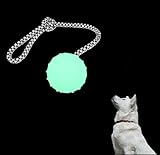 Glow in The Dark Dog Ball on Rope Dog Toy | Puppy Tug of War Toy with Luminous Ball & Nylon Rope, Glow in The Dark Balls for Dogs & Tether Tug Outdoor Fetching Toys for Dogs of Small to Medium Breed