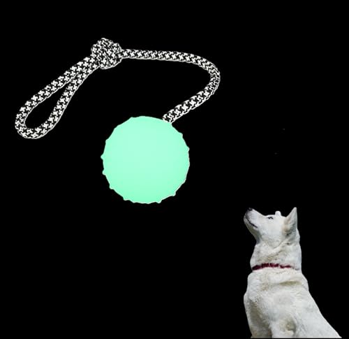 Glow in The Dark Dog Ball on Rope Dog Toy | Puppy Tug of War Toy with Luminous Ball & Nylon Rope, Glow in The Dark Balls for Dogs & Tether Tug Outdoor Fetching Toys for Dogs of Small to Medium Breed