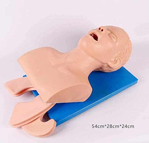 Lemita Human Body Adult Intubation Manikin Teaching Model 110-220V Electronic Airway Management Trainer Tracheal Intubation Training Simulator Model For Science Lab Education #TOP2