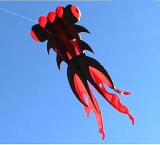 Kites Fish Kite Flying for Adults Kites Goldfish Kite Sport Professional Kites Large Inflatable Kite surf cerf Parachute (Color : 6m BlackRed)
