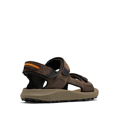 Columbia Sandália masculina Trailstorm Hiker com 3 tiras, Cordovan/âmbar dourado, 9