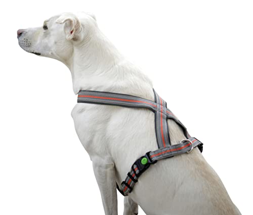 Kerbl Pet Xenos Harness 15 mm x 30-40 cm Grey/Red, grey|red, 15mmx 30-40cm - Image 4