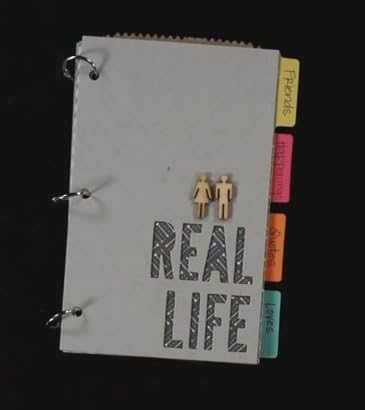 Stampin' Up! Paper Pumpkin Monthly Kit - December 2013 - Journal