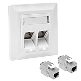 TNSLAND 1 x 2-Port Netzwerkdose Unterputz Cat 7 + 2 x CAT 7 Keystone RJ45 Dose Modul, Lan Dose Unterputz Buchse Einbaubuchse 10 Gbit/s, Weiß
