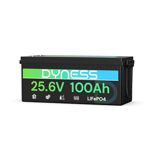 Dyness 24V 100Ah LiFePO4 Lithium Batterie mit Integriertem 100A BMS und Tieftemperaturschutz ideal für 24V Trolling-Motoren(Bassboote) Wohnmobile und netzunabhängige Anwendungen