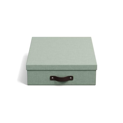BIGSO OSKAR Dokumentenbox A4 – Aufbewahrungsbox mit Deckel und Griff – Schreibtischablage für Papier, Broschüren & Dokumente – Regal Aufbewahrungsbox aus Faserplatte und Papier – mintgrün