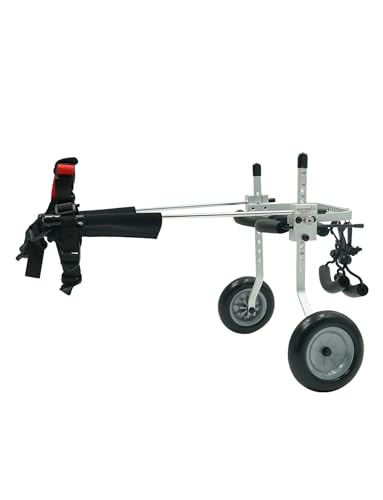 Support à 2 roues pour chien pour des promenades quotidiennes sans effort