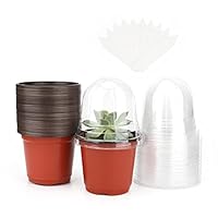 KINGLAKE 10 cm pot voor zaailingen, 32-delige bloempot van kunststof, kweekbak, met transparant deksel en 10 x plantenetiketten, emmer voor het verplanten van planten, zwart