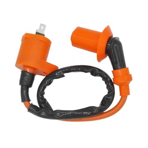 Bobine d'allumage pour TRX200SX pièce électrique pour Fourtrax 200 SX