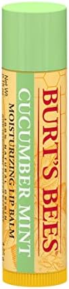 Burt's Bees Cucumber Mint Moisturizing Lip Balm for Women, Orange, 0.15 Oz