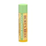 Burt's Bees Cucumber Mint Moisturizing Lip Balm for Women, Orange, 0.15 Oz