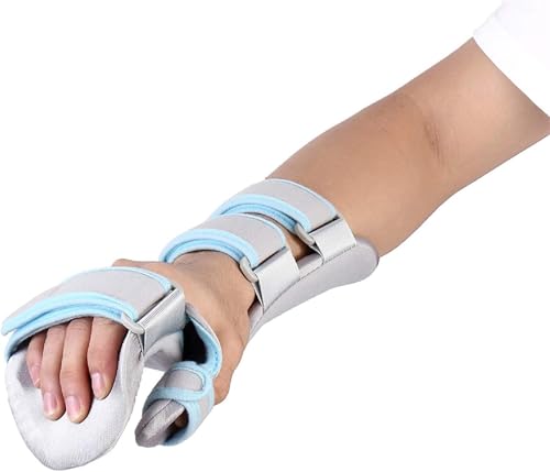 Î̎̓Y؁A]莡Ë@Aw胉bvAʋCƉKÃT|[gẢA܌ŒAr̕یɁB(Left,Medium)