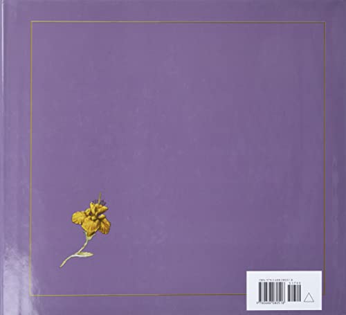 The Twelve Dancing Princesses - Image 2